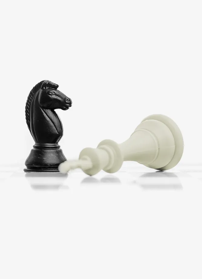 Two chess pieces, one black, one white